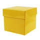 /static/uploads/pictures/mini/CBB375YEL_1.jpg