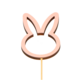 /static/uploads/pictures/mini/DEC23001_1.png