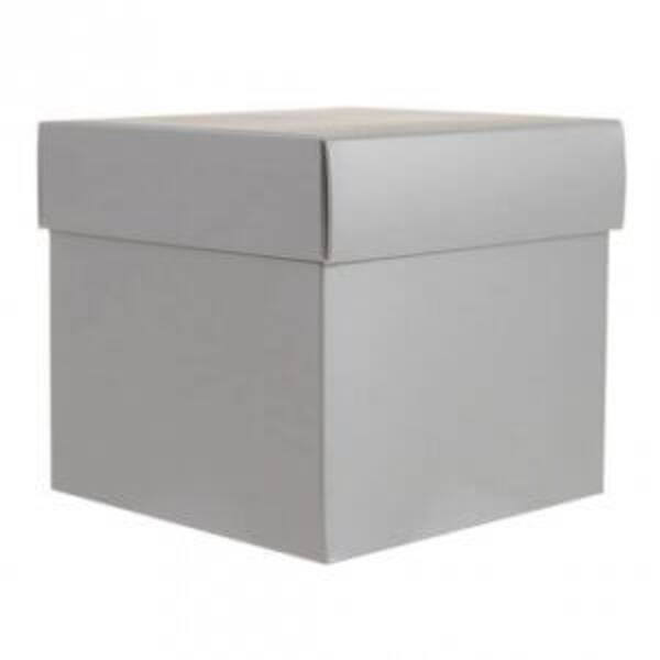 CubeBox®  mat zilver met deksel, goudkarton bodem (diverse maten)