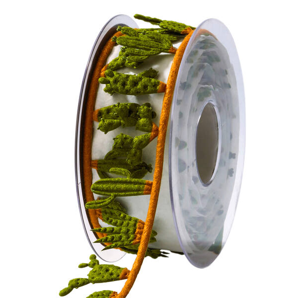 Lint cactus bruin 40 mm x5 m X9340405420005