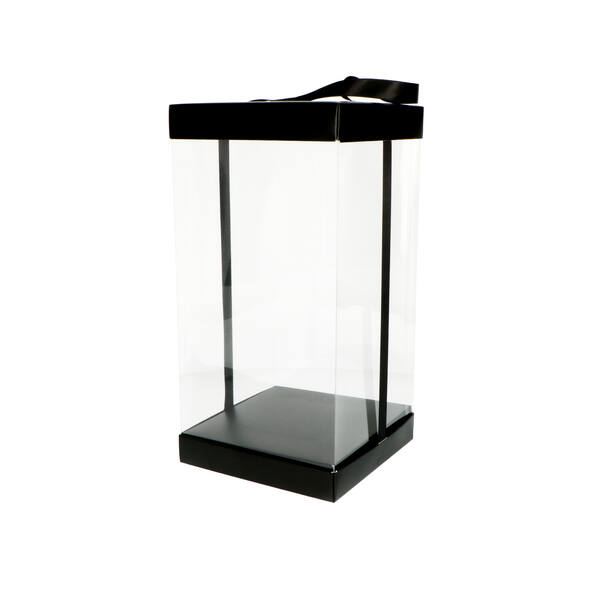 Presentatiebox 'Luxury' zwart 120x120x250 mm